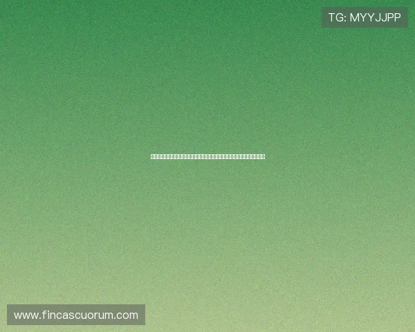 海德体育真人手机版实现多种支付方式，保障用户资金安全与快速入款体验
